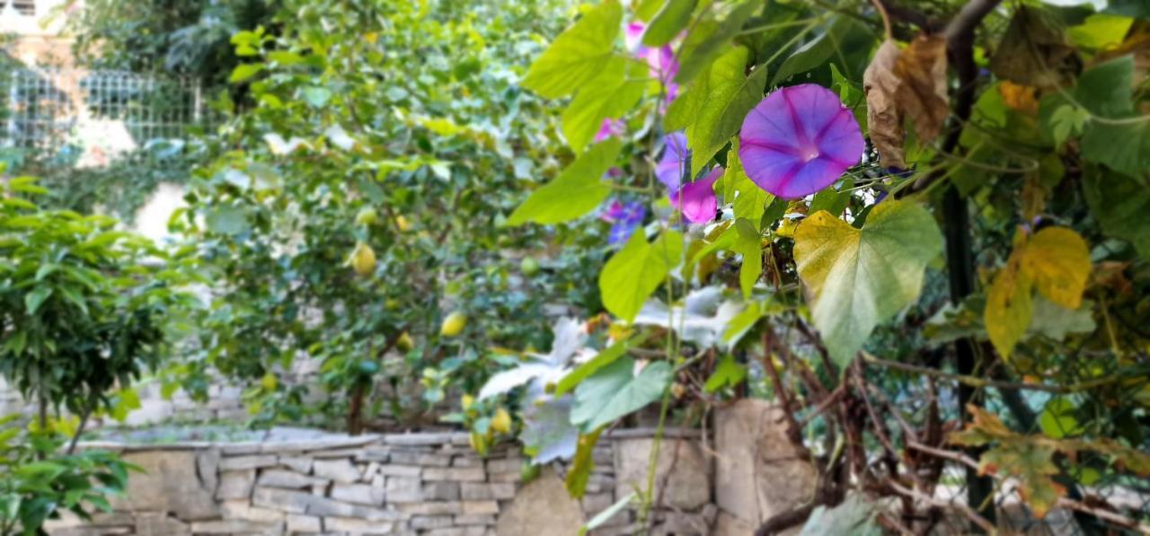 Studio Au Bas Des Cretes En Bas De Villa A La Ciotat Proche De La Mer Et De Marseille Zewnętrze zdjęcie